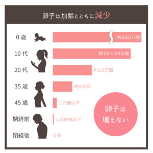 卵子は加齢とともに減少