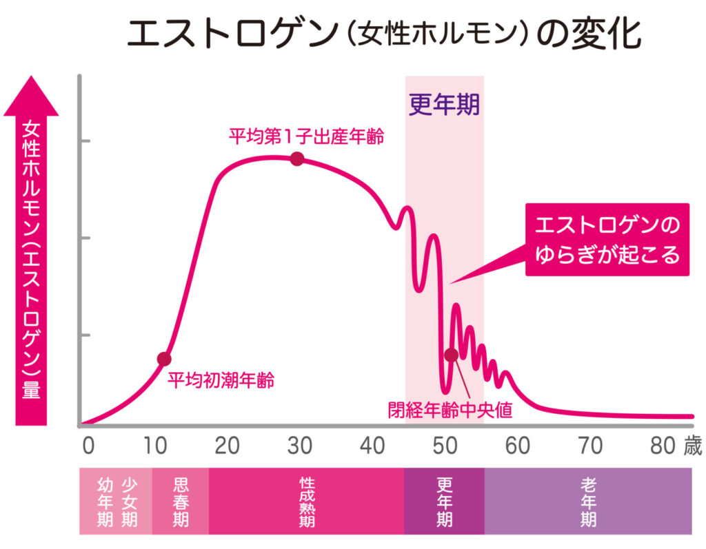 女性ホルモン　エストロゲンの変化　更年期